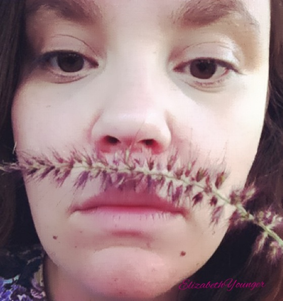 Processed with MOLDIV